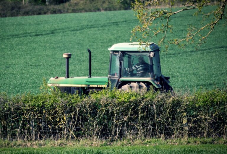 A tractor behind a hedge