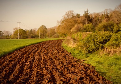 Farmed fields