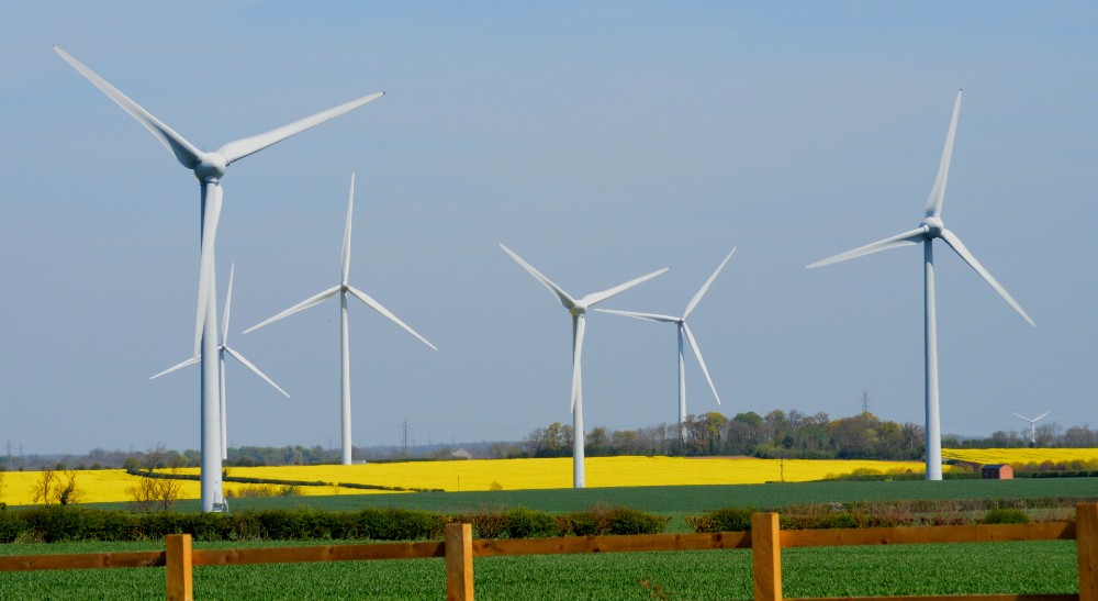 Numerous wind turbines in a rural setting