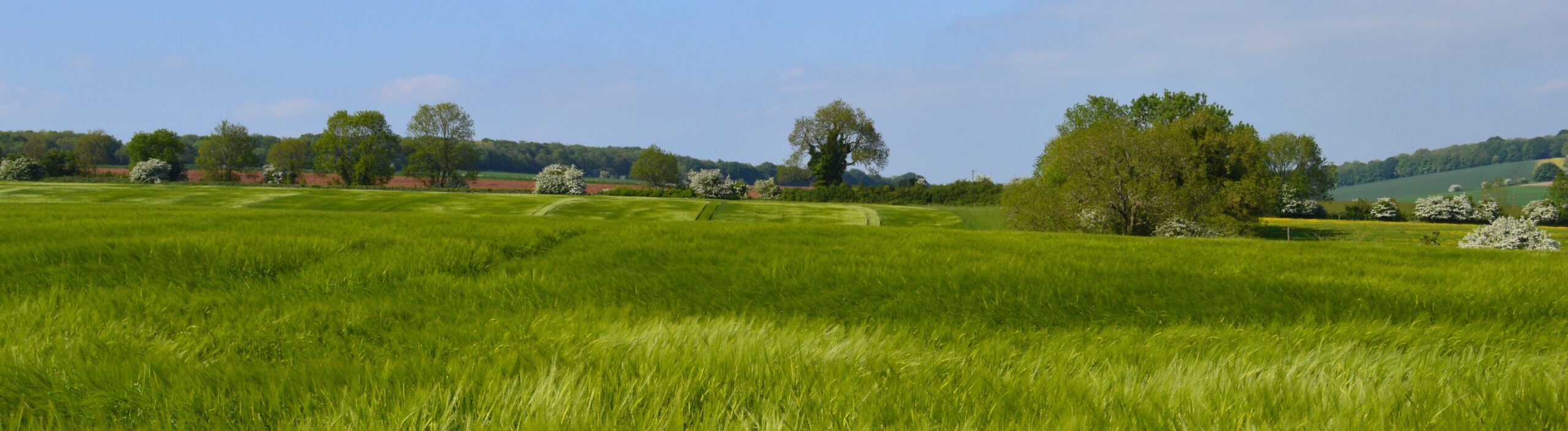 Farming in Protected Landscapes Evaluation 