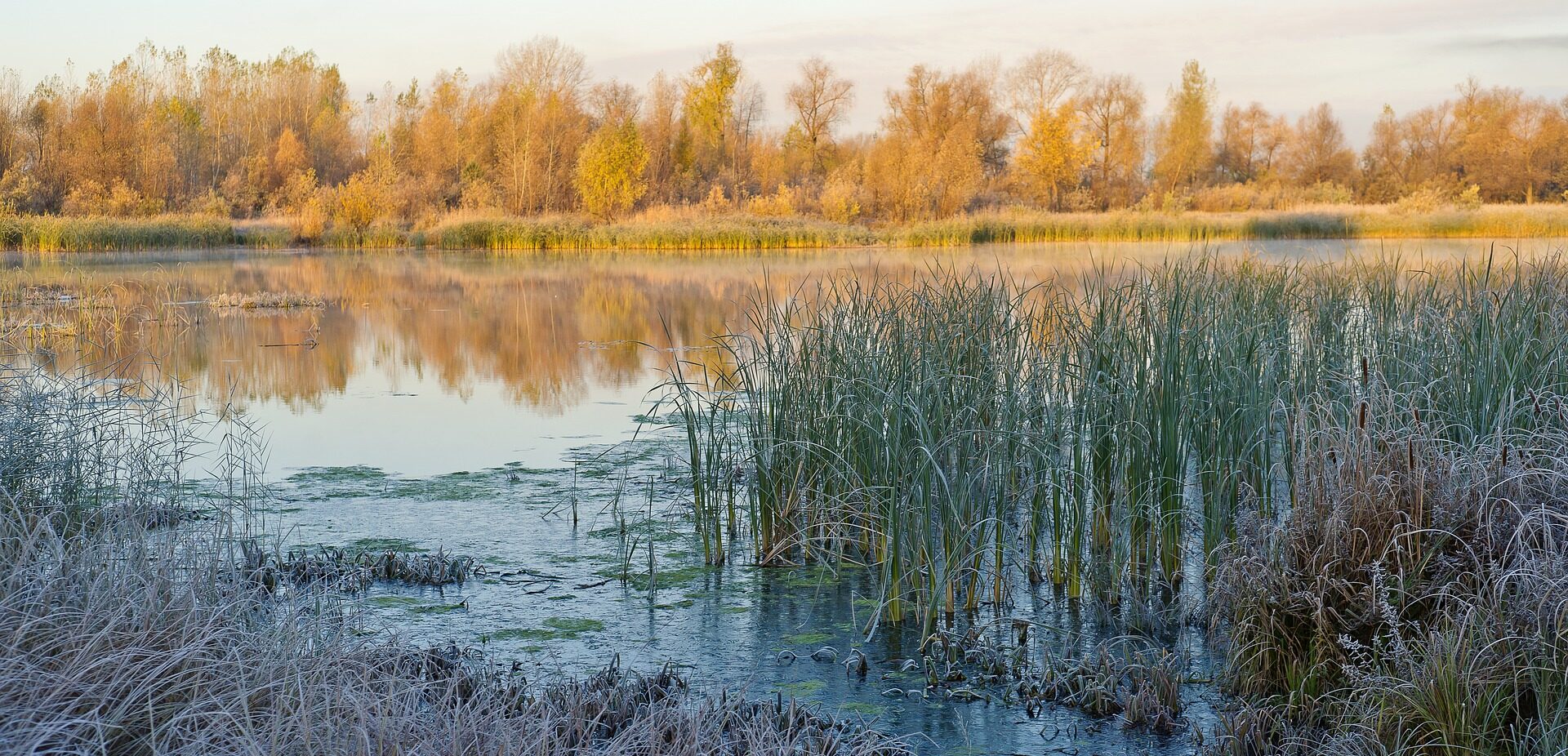 Catchment Systems Thinking Co-Operative (CaSTCo): Creating a framework for citizen science monitoring in the Western Rother and Arun 