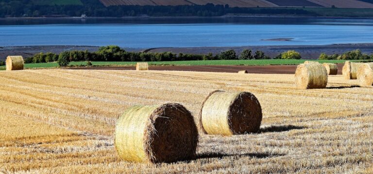 Hay Bales Coast