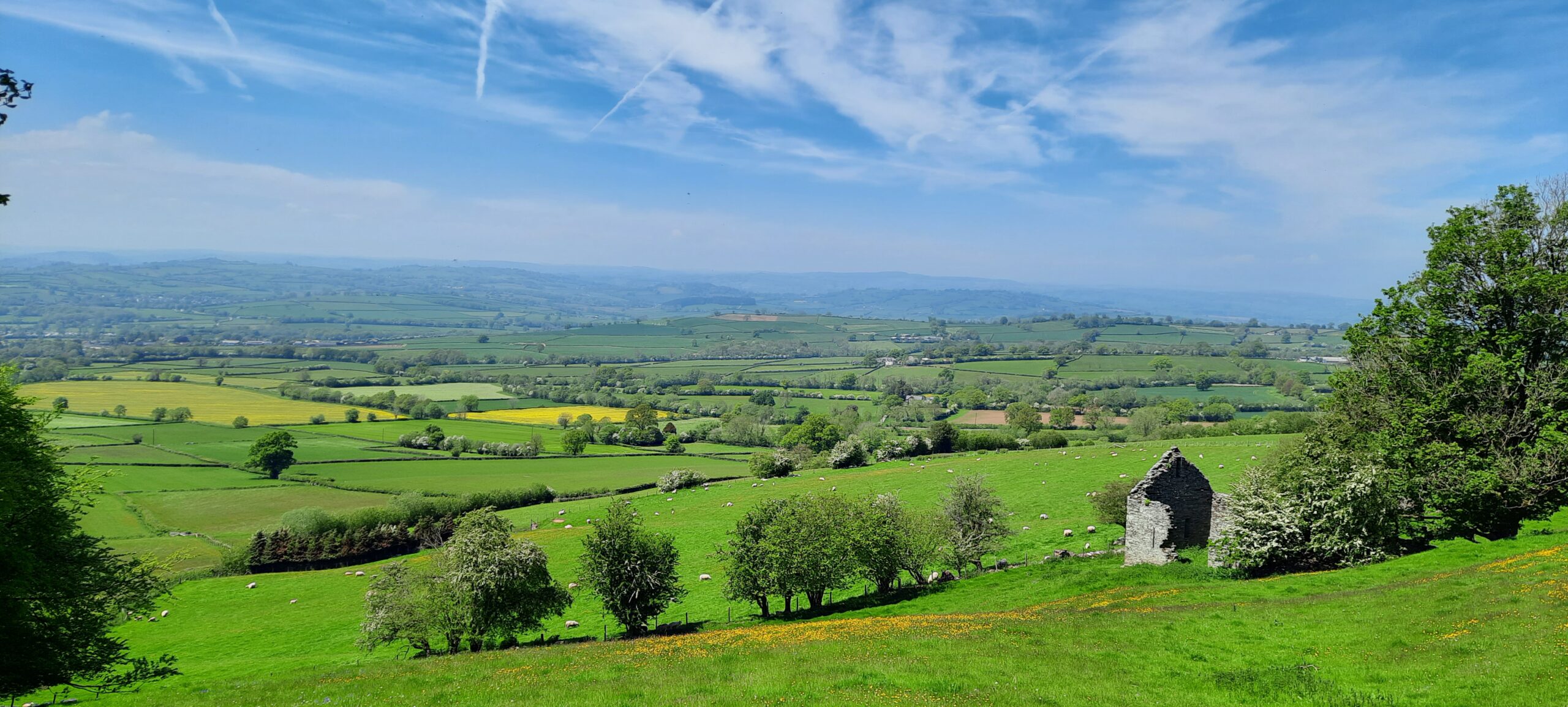 Countryside and Community Research Institute