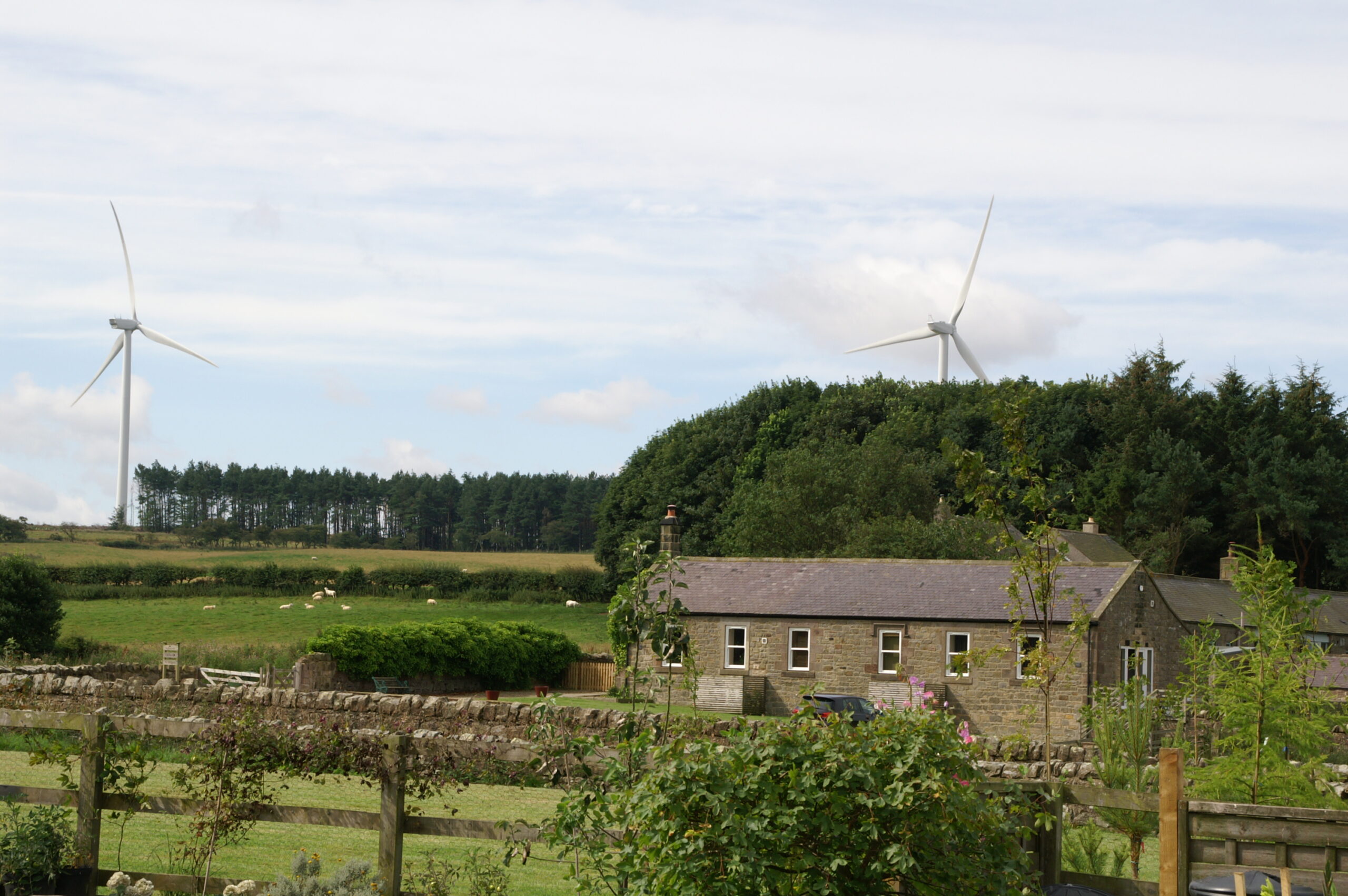 Resilience Of The Rural Electricity Network To Meet Net Zero Impacts