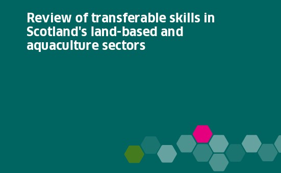 a green front cover of a report about transferable skills in scotland