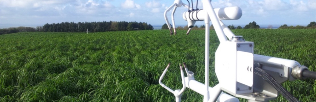 Rethinking perennial biomass crops implementation in farmed landscapes: designing opportunities for integration into the farming system